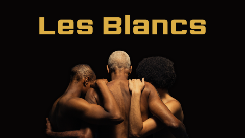 Les blancs ego po