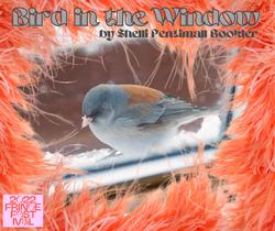 Bird in the Window