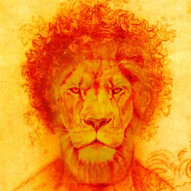 Chris Davis Lion Portrait